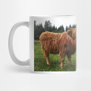 Scottish Highland Cattle Calf 2046 Mug